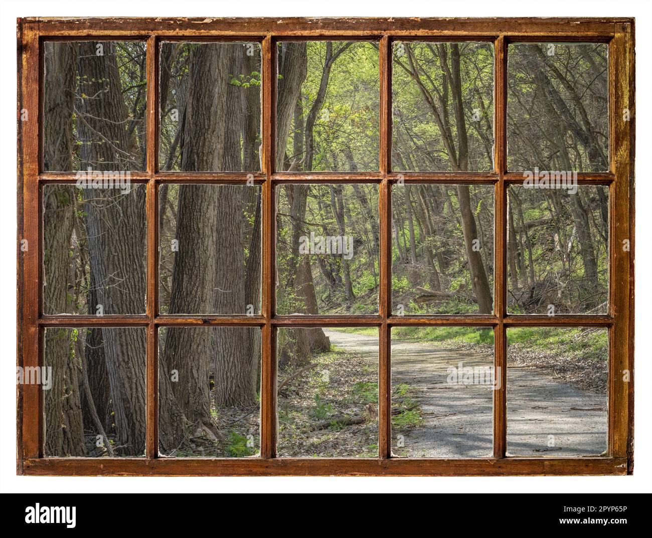 Waldstraße im Frühling entlang des Missouri River in Nebraska, mit Blick auf die klassischen Schiebefenster Stockfoto