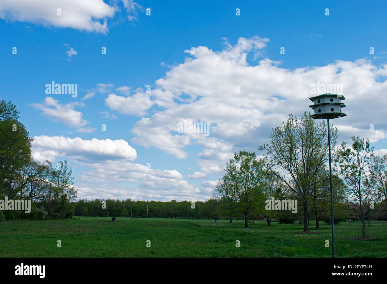 Bird House, oder Ferienwohnung, vor einem hellblauen Himmel auf dem Davidson's Mill Pond Park ökologischen Pfad an einem Frühlingstag -03 Stockfoto