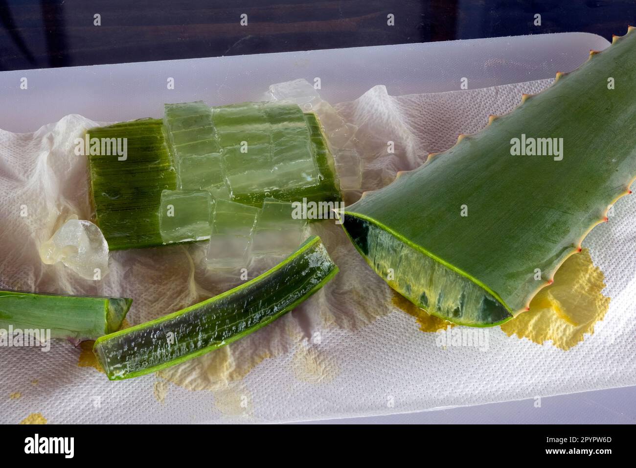 Aloe Vera-Blattzellstoff aus biologischem Landbau Stockfoto