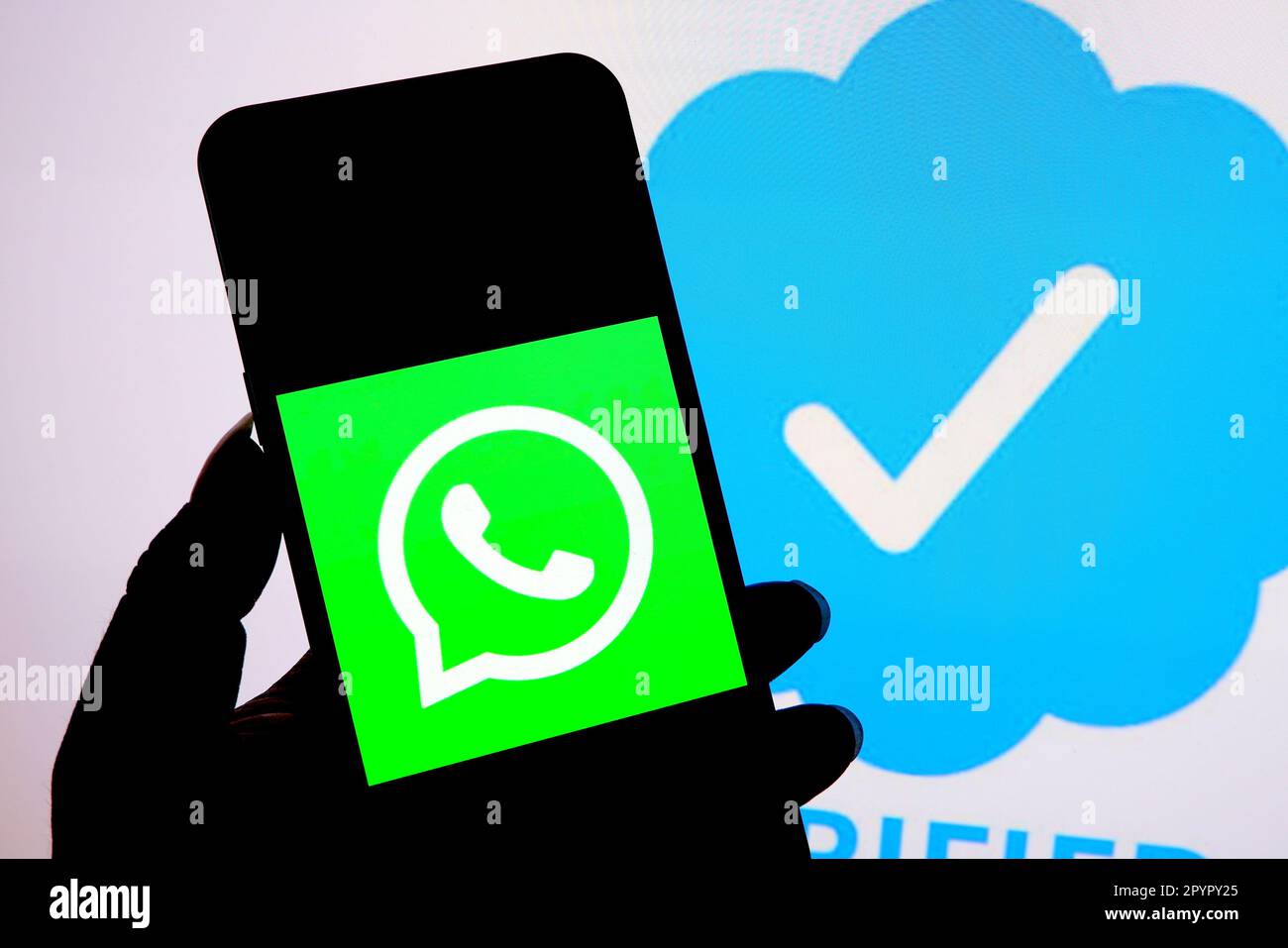 In dieser Fotoabbildung wird ein Whatsapp-Logo auf einem Smartphone mit einem verifizierten Symbol im Hintergrund angezeigt. Stockfoto
