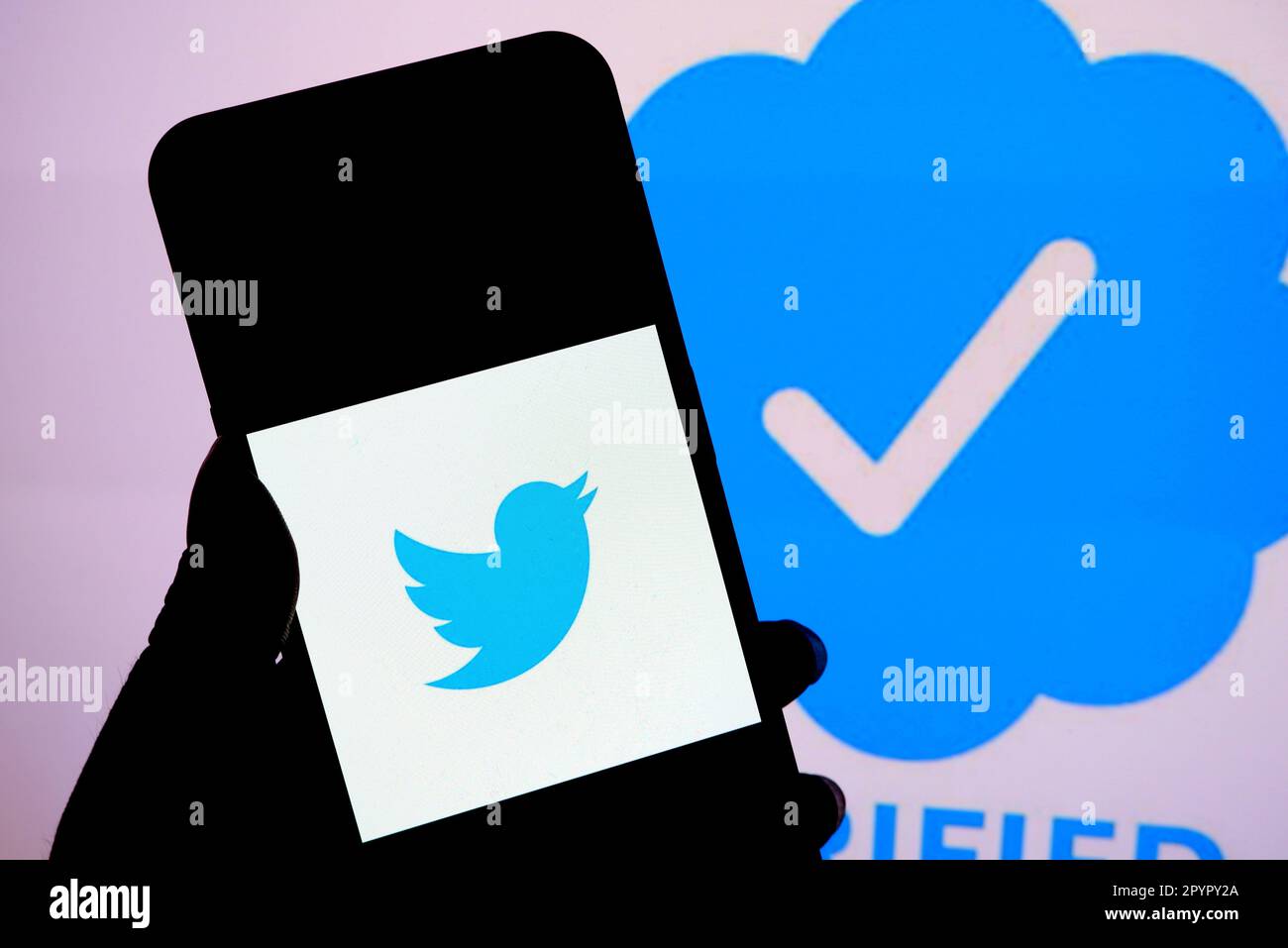 In dieser Fotoabbildung wird auf einem Smartphone ein Twitter-Logo mit einem Symbol „verifiziert“ im Hintergrund angezeigt. Stockfoto