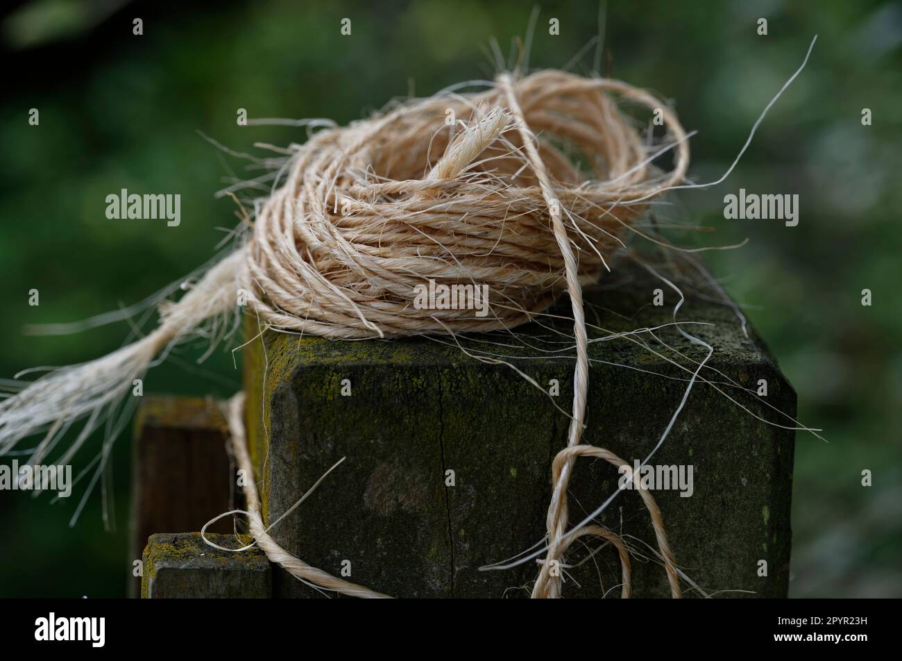 Eine Schnur oder ein Garn wurde lose gewickelt und auf einen Pfosten im Garten gelegt, um auf die nächste Aufgabe zu warten Stockfoto