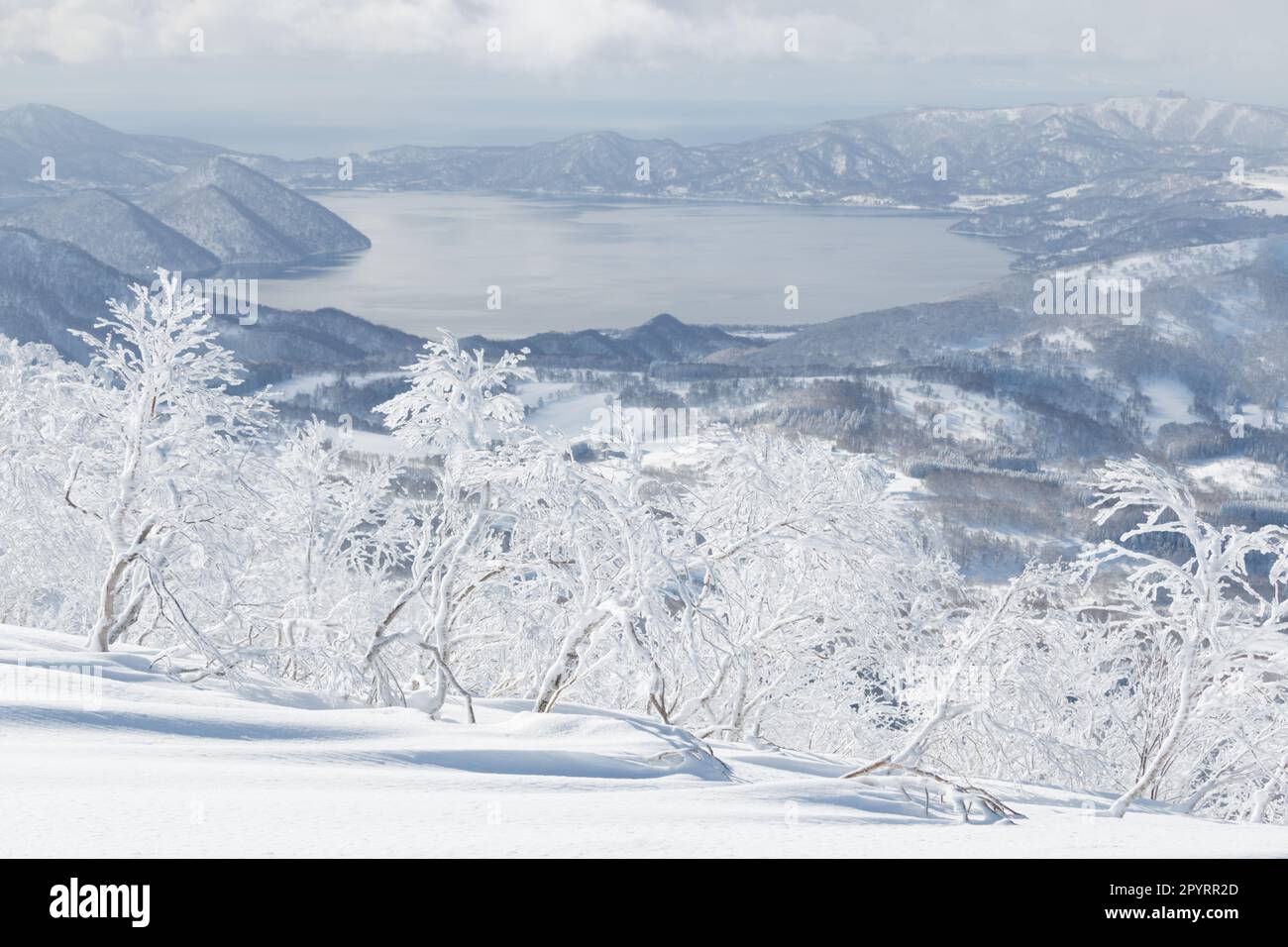 Schneebedeckte Bäume am Berg mit Blick auf den Toya-See, Hokkaido, Japan Stockfoto