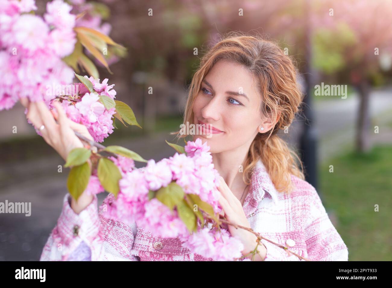 Wunderschöne 30s-jährige Frau, die im Frühling Kirschblüte hält, auf der Suche nach Blüte, draußen Stockfoto
