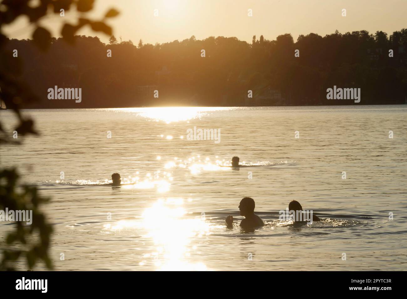 Junge Erwachsene schwimmen im See bei Sonnenuntergang, Bayern, Deutschland Stockfoto