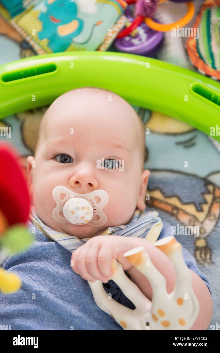 Nahaufnahme eines Babys mit Schnuller im Mund beim Spielen mit einem Spielzeug, Bayern Stockfoto