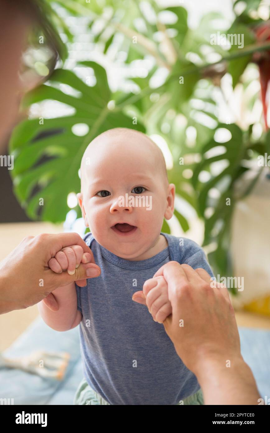 Eltern helfen dem Baby beim Gehen mit Händchenhalten, Bayern, Deutschland Stockfoto