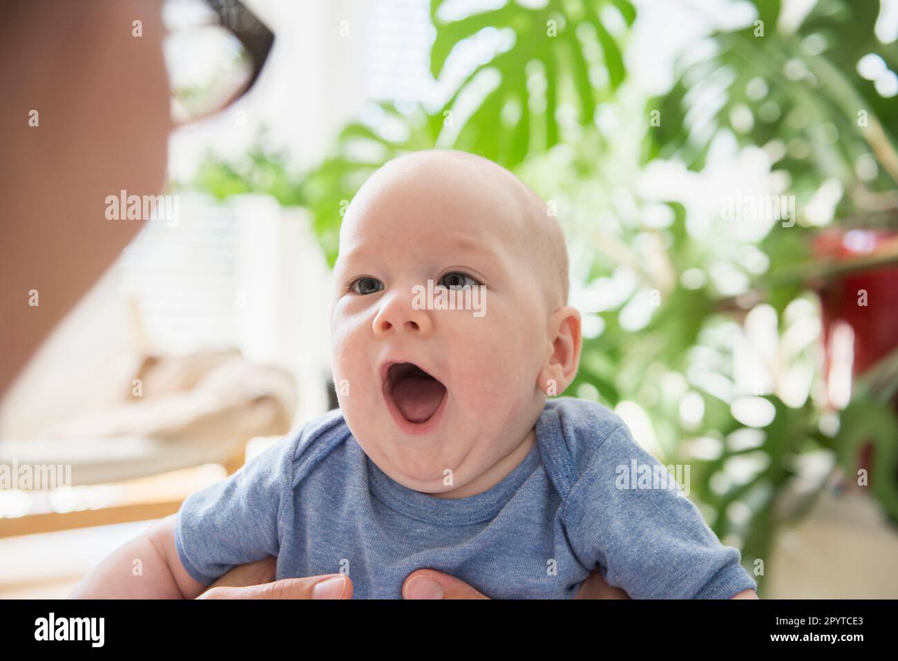 Elternteil hält Baby in der Hand, Bayern, Deutschland Stockfoto