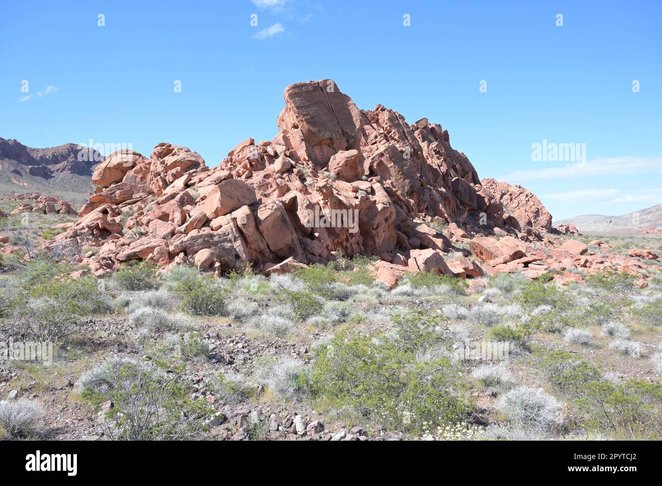 Redstone Dune Trail in Nevada. Stockfoto