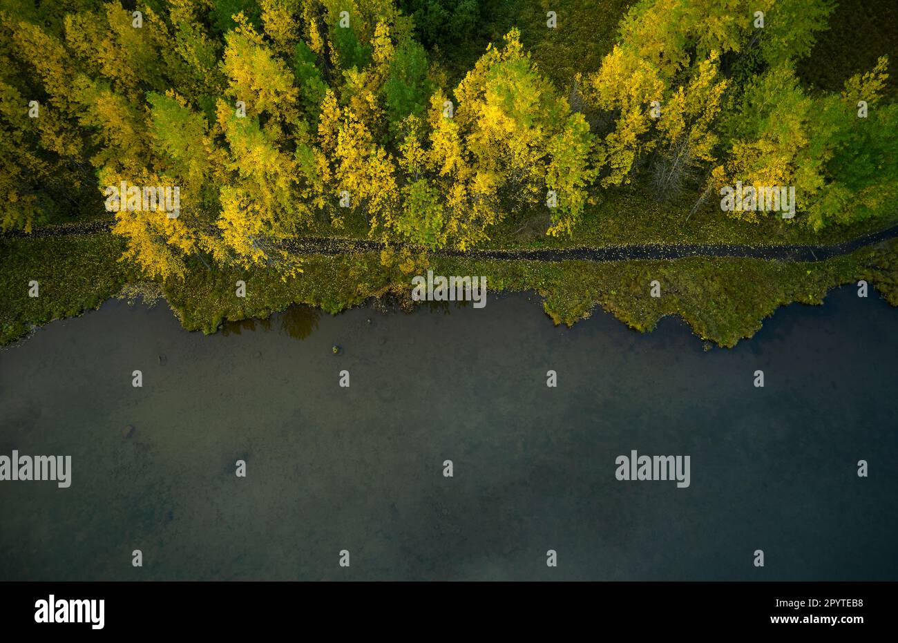 Malerischer Blick auf den Herbstwald und den Teich auf dem Land Stockfoto