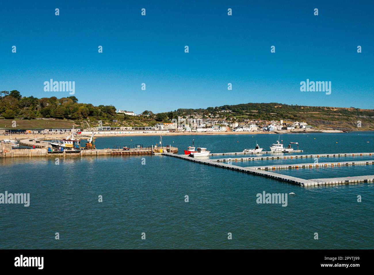 Boote im Hafen Lyme Regis, Lyme Regis, Dorset Stockfoto