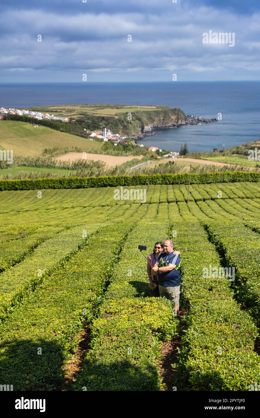 Portugal, Azoren, Insel Sao Miguel, Porto Formoso. Ein Paar, das Selfie auf der Teeplantage macht. Cha Porto Formosa. Stockfoto