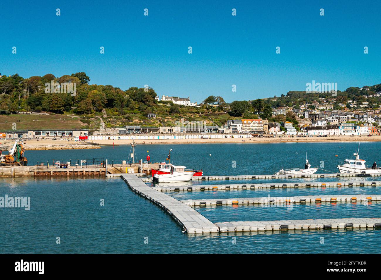 Boote im Hafen Lyme Regis, Lyme Regis, Dorset Stockfoto