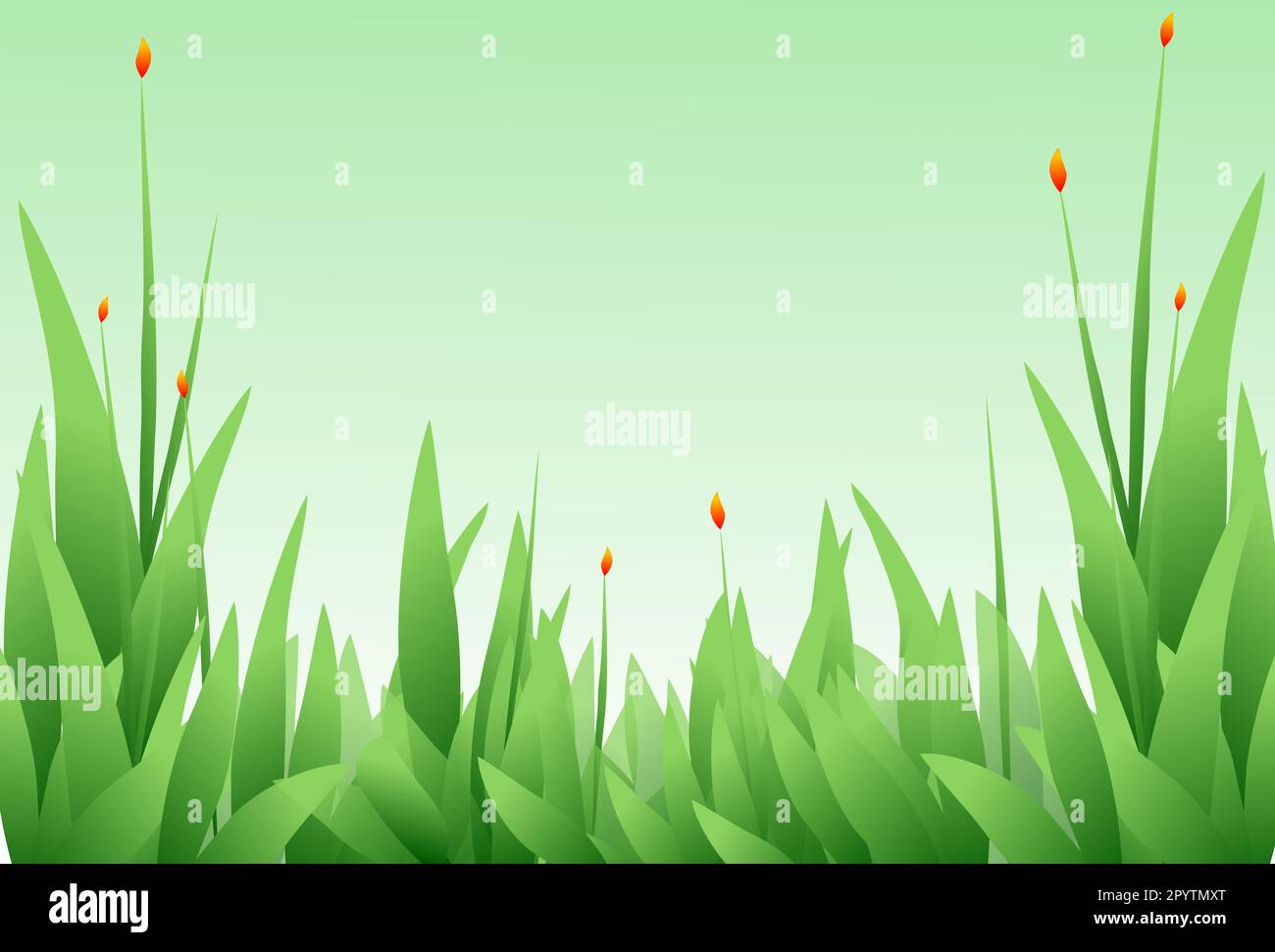 Stilisierte Gräser und orangefarbene Blumen auf grünem Hintergrund. Hintergrund für den Frühling oder Sommer. Stockfoto