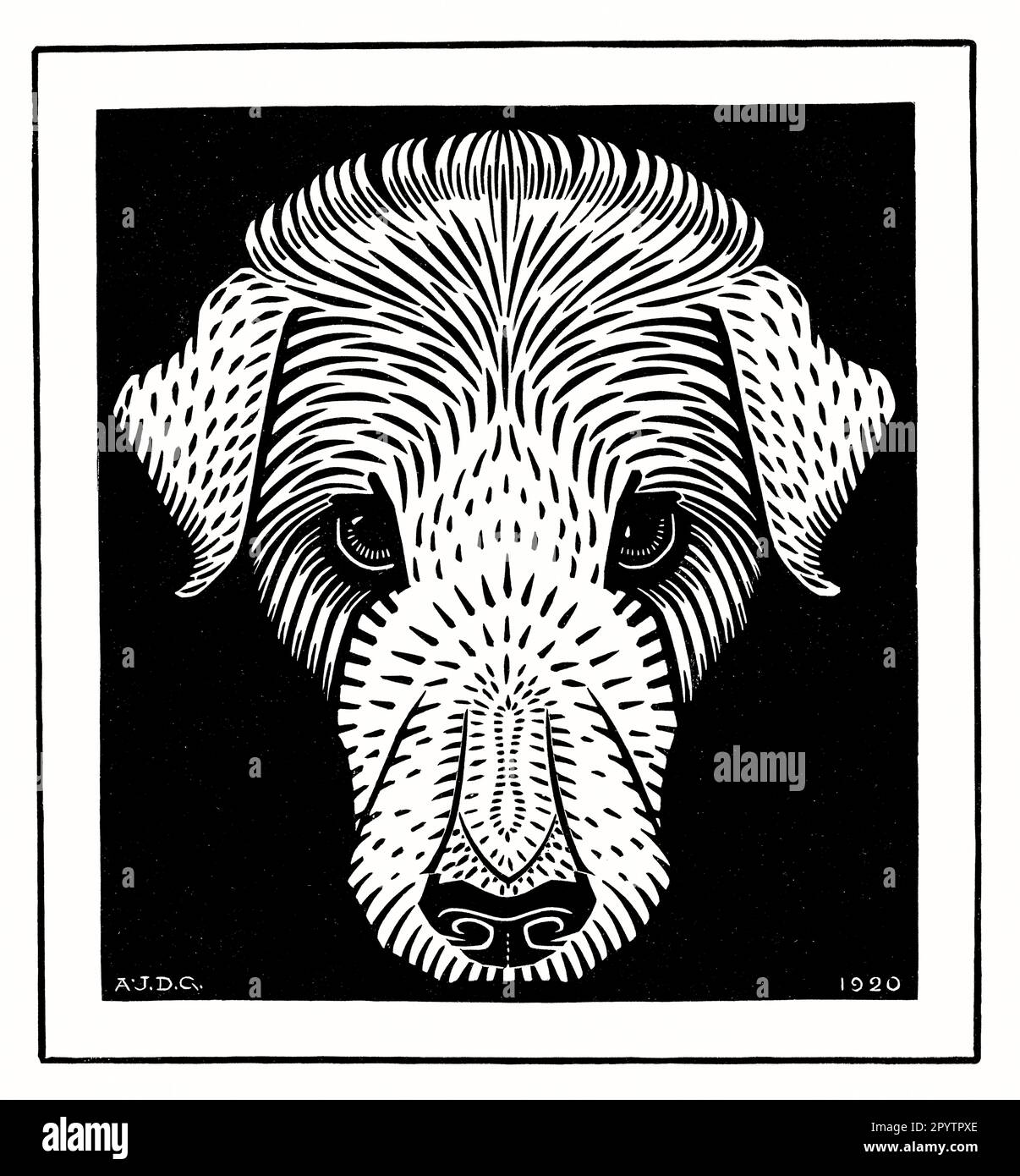 Dog's Head Vintage Lino Art Print von Julie De Graag Dutch Artist Stockfoto