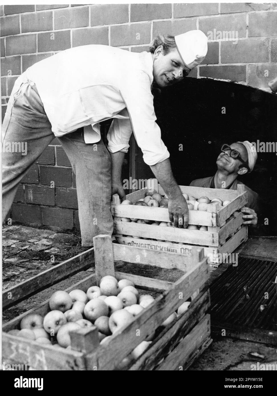 „Potsdam VEB Maschinenbau ''Karl Marx'' Babelsberg Kar-Marx-Werk früher Orenstein und Koppel Autodrehkran Produktion Werktätige DDR Industrie Arbeitsbedingungen Produktivität Bildunterschrift: Auch im Babelsberg Karl-Marx-Werk wird das gute Angebot an Obst und Gemüse zur Bereicherung der Speisekarte und zur Versorgung in den Wintermonaten genutzt. Foto vom 26. September 1983 Äpfel werden hier von Günter Vollmer und Joachim Schellpeper in der eigenen Speisekammer gelagert. Foto: MAZ/Christel Köster“ Stockfoto