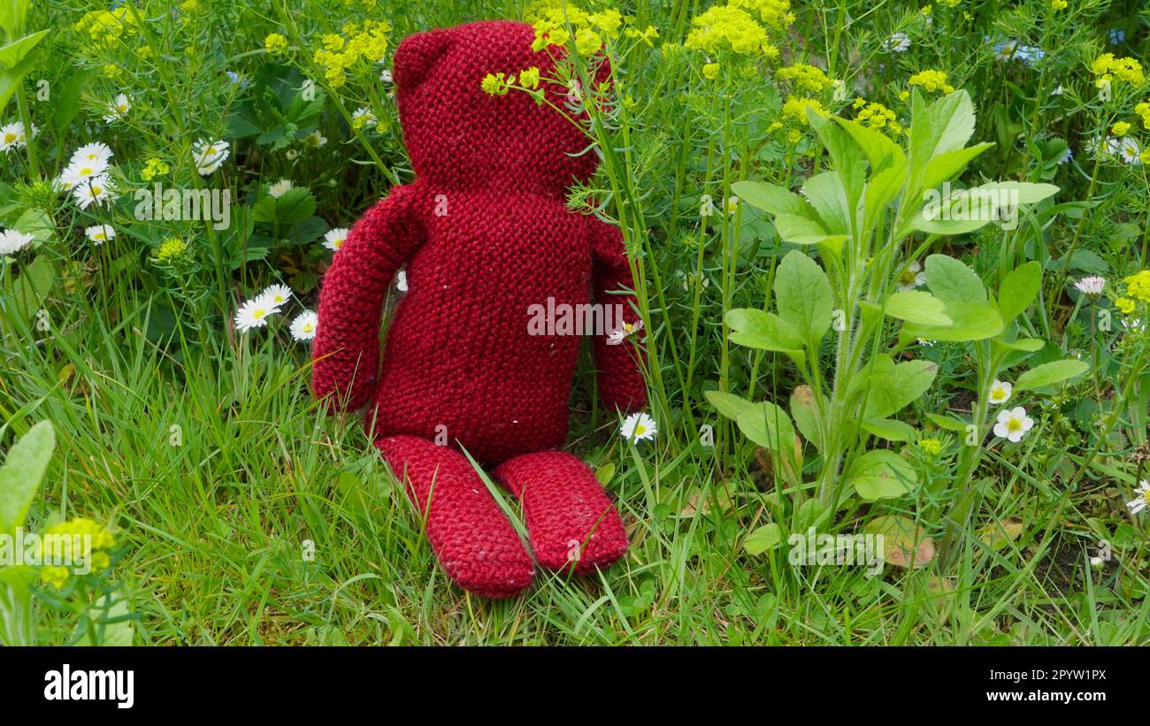Ein roter, selbstgestrickter Teddybär, der im Garten zwischen springblumen sitzt. Stockfoto