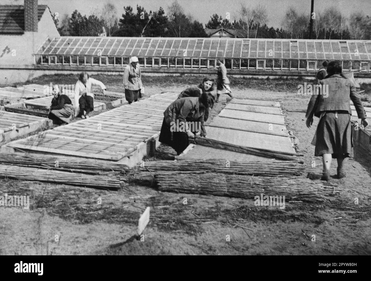 Mitglieder des Freiwilligendienstes für Frauen am Arbeitsplatz im Finkenkrug-Jugendheim. [Maschinelle Übersetzung] Stockfoto