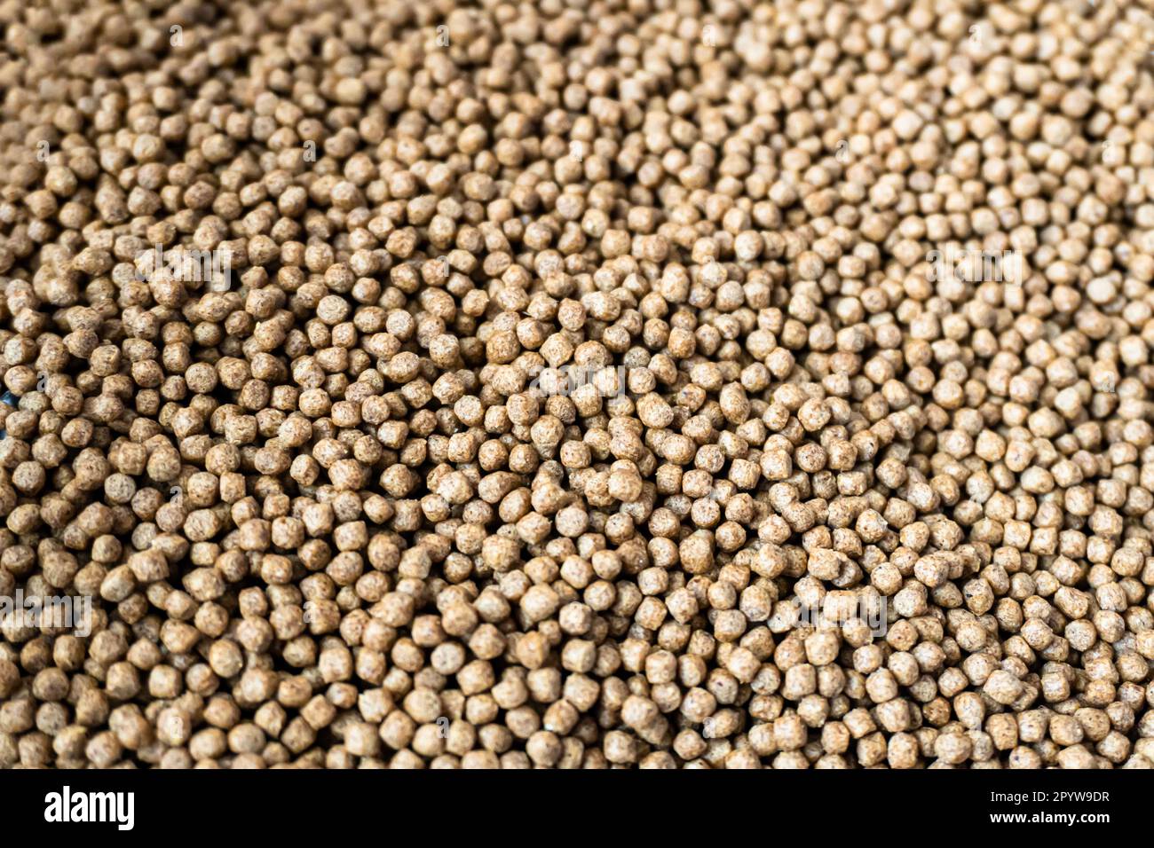 Nahaufnahme der Konsistenz von granuliertem Fischfutter. Kleine Fischfutter, isoliert auf weißer Platte. Karpfenfutter Stockfoto