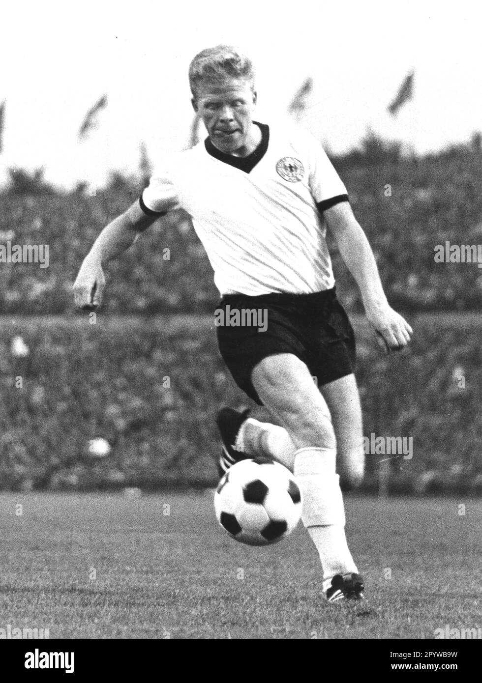 HELMUT HALLER, Action im Nationaltrikot, Deutschland - Jugoslawien in Hannover 23.06.1966. [Maschinelle Übersetzung] Stockfoto