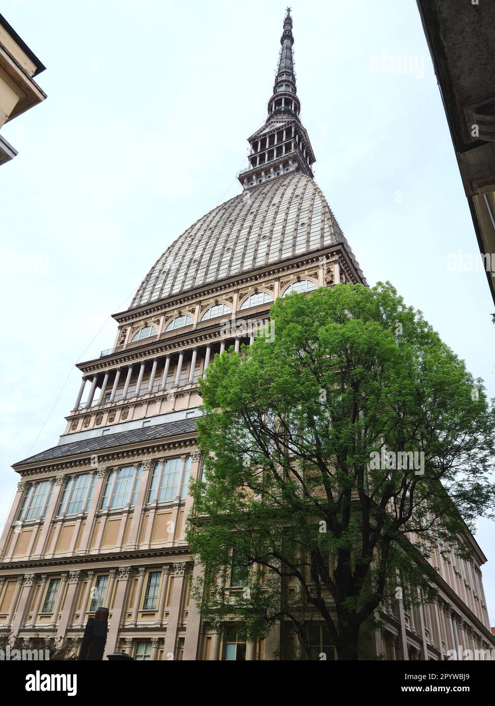 Die Mole Antonelliana ist das symbolische Denkmal von Turin. Es war das höchste Ziegelgebäude der Welt. Stockfoto