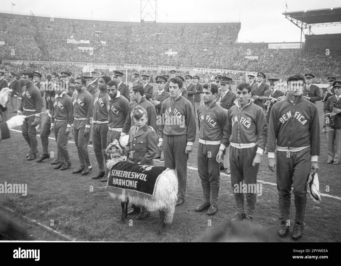 Europameisterschaft 1961/62. Finale: Benfica Lissabon - Real Madrid 5:3/02.05.1962 in Amsterdam. Die 11-Mann-Mannschaft Benfica Lisbon vor dem Spiel. Von links: Costa Pereira, Germano de Figueiredo, Fernando Cruz, Mario Coluna, Eusebio, Domiciano Cavem, Antonio Simoes, Jose Augusto, Angelo Martins, Mario Joao und Jose Aguas. Nur für Journalisten! Nur zur redaktionellen Verwendung! Gemäß den Vorschriften der DFL Deutsche Fussball Liga ist es verboten, im Stadion aufgenommene Fotos und/oder das Spiel in Form von Sequenzbildern und/oder videoähnlichen Fotoserien zu verwenden oder verwenden zu lassen. DFL Stockfoto