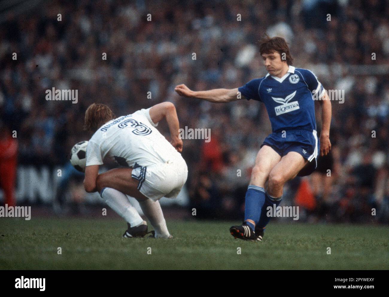 MSV Duisburg - FC Schalke 04 / 5:1 / 15.05.1981. Klaus Fischer (S04/RE) Schüsse. Herbert Büssers (MSV) versucht zu blockieren. Nur für Journalisten! Nur zur redaktionellen Verwendung! [Maschinelle Übersetzung] Stockfoto