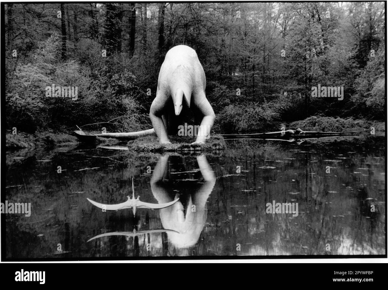 Zoologie: Dinosaurier (Rekonstruktion) spiegeln sich im Wasser wider. Dinosaurierpark, privater Skulpturenpark in Kleinwelka (Bautzen-Viertel), in der Nähe von Cottbus. Ansicht, Schwarzweiß. Foto, 1991. Stockfoto