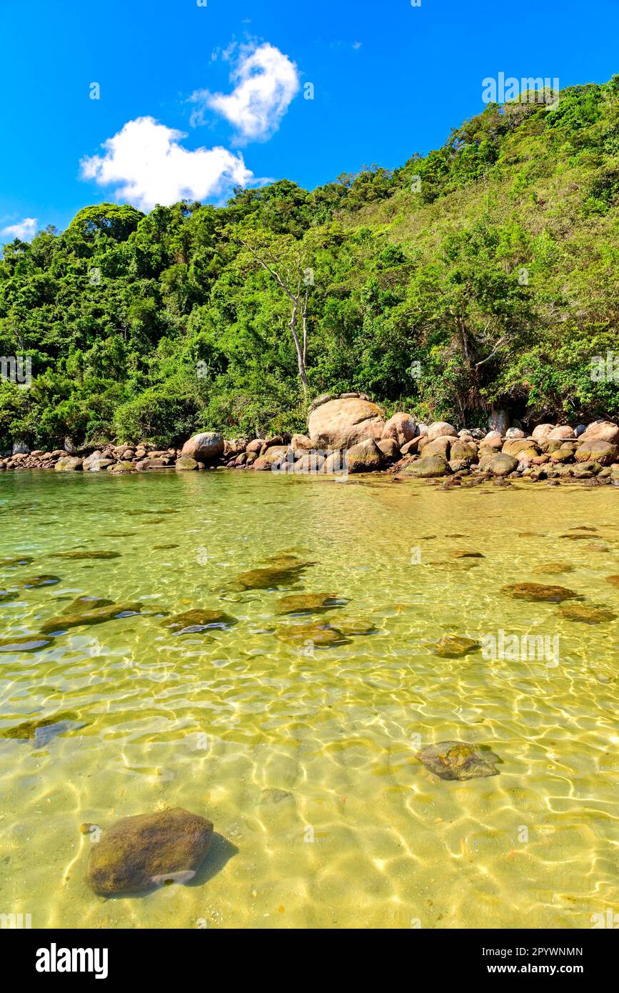 Paradiesische Landschaft mit dem Zusammentreffen der transparenten Gewässer des Meeres von Ilha Grande in Angra dos Reis mit dem tropischen Wald Ilha Grande, Angra Stockfoto