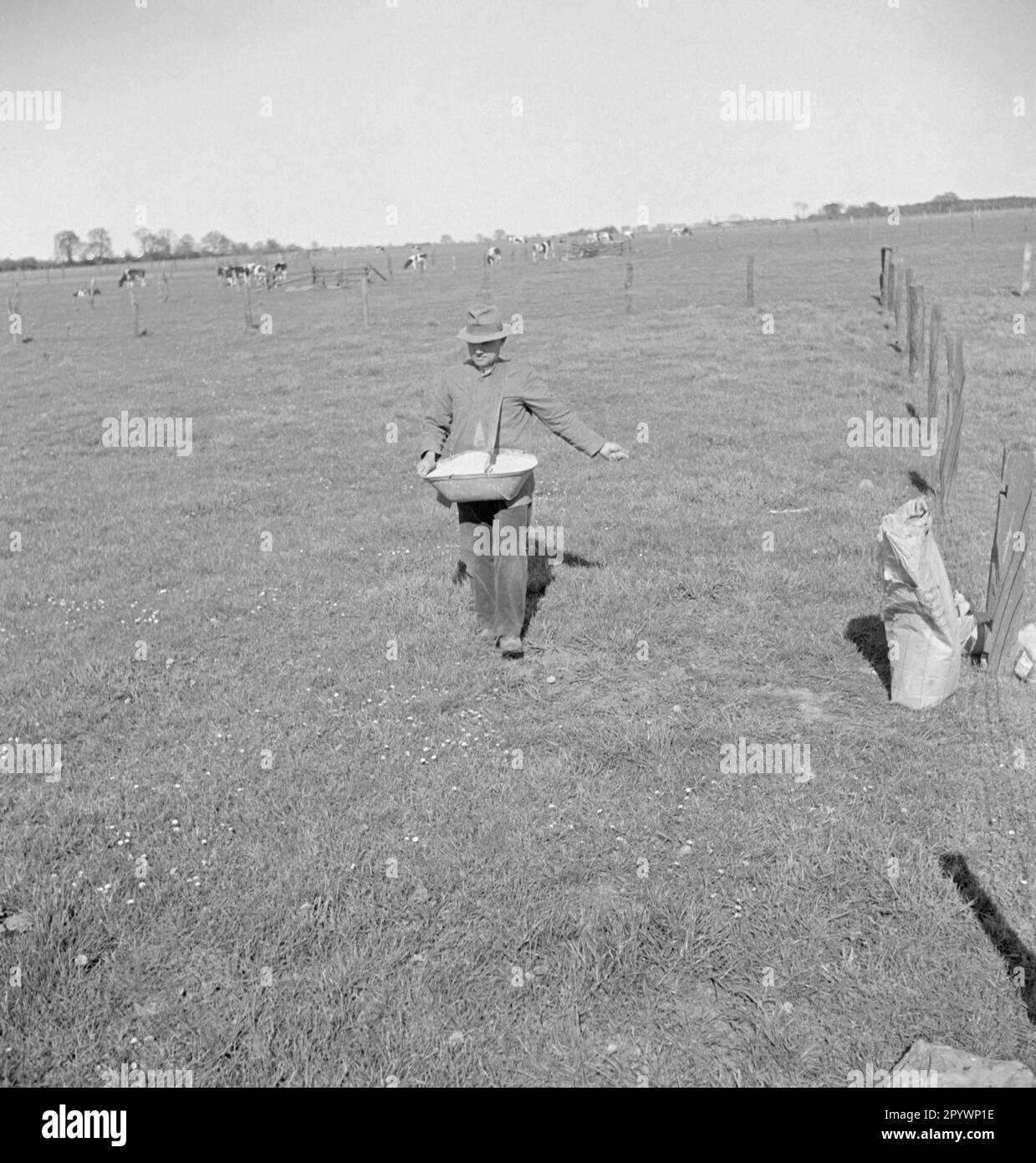 Ein Bauer, der auf einem Feld in Pommern Saatgut sät. Stockfoto