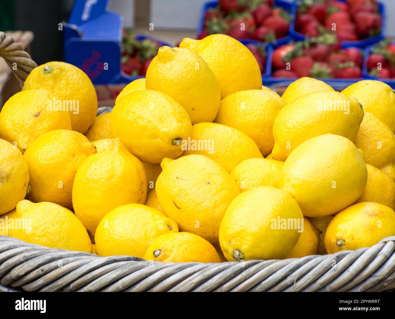 Gesunden Zitronen auf dem Markt Stockfoto