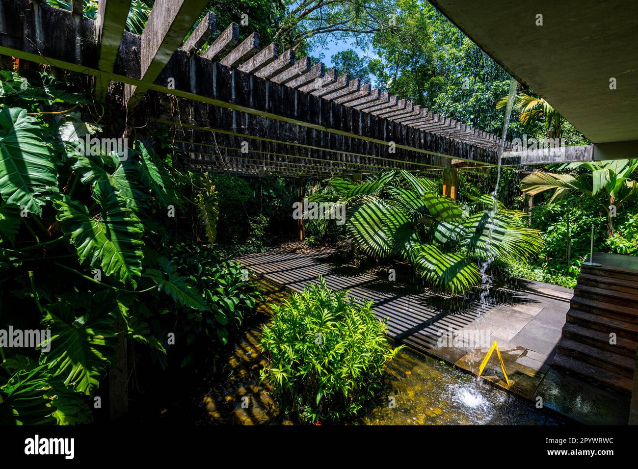 Sitio Burle Marx, Landschaftsgarten, Rio de Janeiro, Brasilien Stockfoto