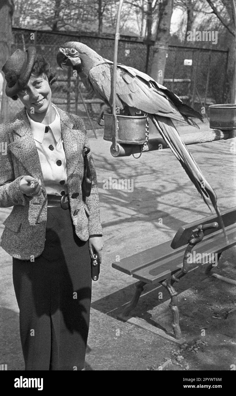 Eine Frau sieht einen Papagei im Hamburger Zoo. Stockfoto