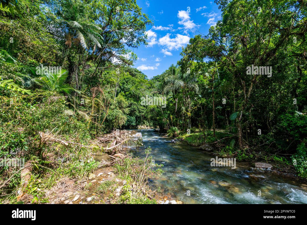 Batari River, UNESCO-Weltkulturerbe Atlantic Forest South-East Reservate, Alto Ribeira Touristic State Park, Sao Paulo State, Brasilien Stockfoto