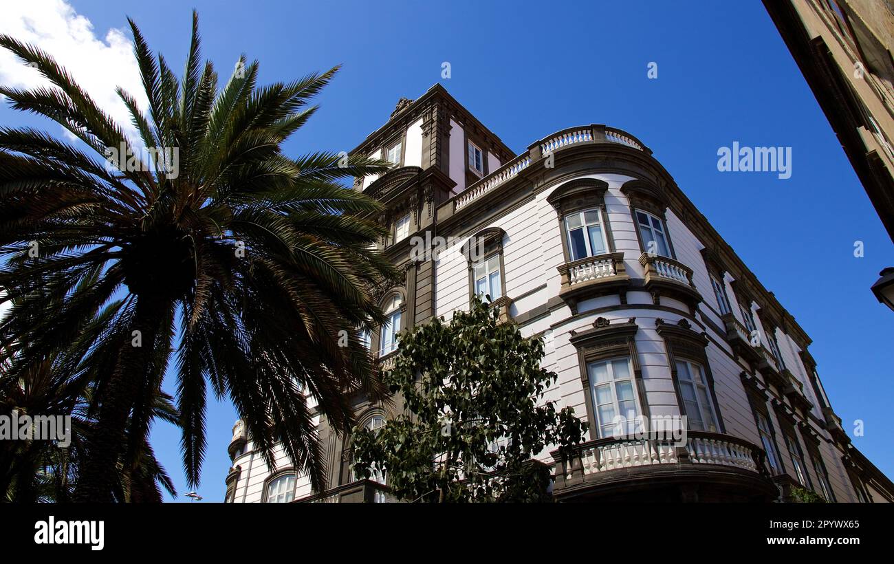 Historisches Gebäude, Palme, blauer Himmel, weiße Wolke, Altstadt, Vegueta, Las Palmas, Hauptstadt, Gran Canaria, Kanarische Inseln, Spanien Stockfoto