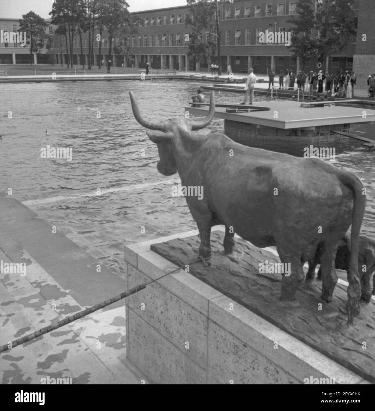 Sportler während der Olympischen Sommerspiele auf dem Deutschen Sportforum im Berliner Olympiapark. Das Bild zeigt die Skulptur Stier und Kuh von Adolf Struebe. Stockfoto