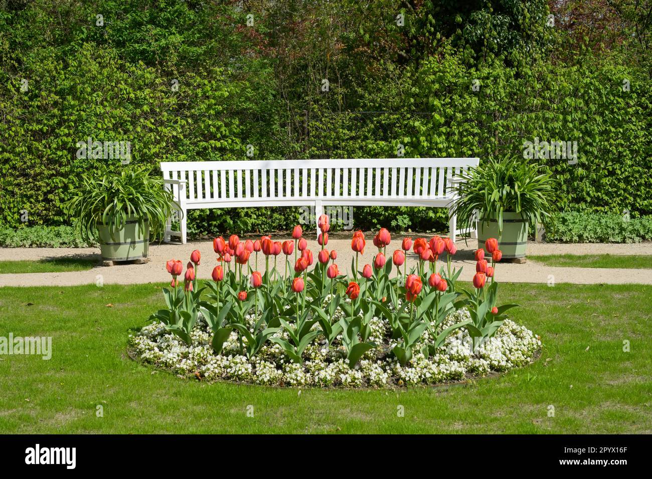 Tulpenbett, Bank, Garten der Liebermann Villa, am Grossen Wannsee, Wannsee, Steglitz-Zehlendorf, Berlin, Deutschland Stockfoto