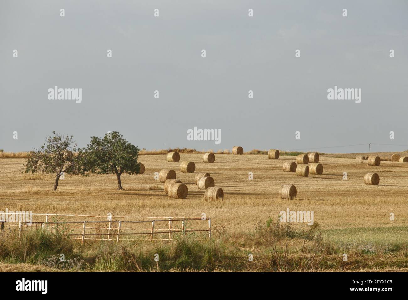 Larnaca, Larnaca, Zypern. 5. Mai 2023. Ein Feld mit verstreuten Heubällen ist in der Nähe des Larnaca International Airport zu sehen. (Kreditbild: © Kostas Pikoulas/ZUMA Press Wire) NUR REDAKTIONELLE VERWENDUNG! Nicht für den kommerziellen GEBRAUCH! Stockfoto