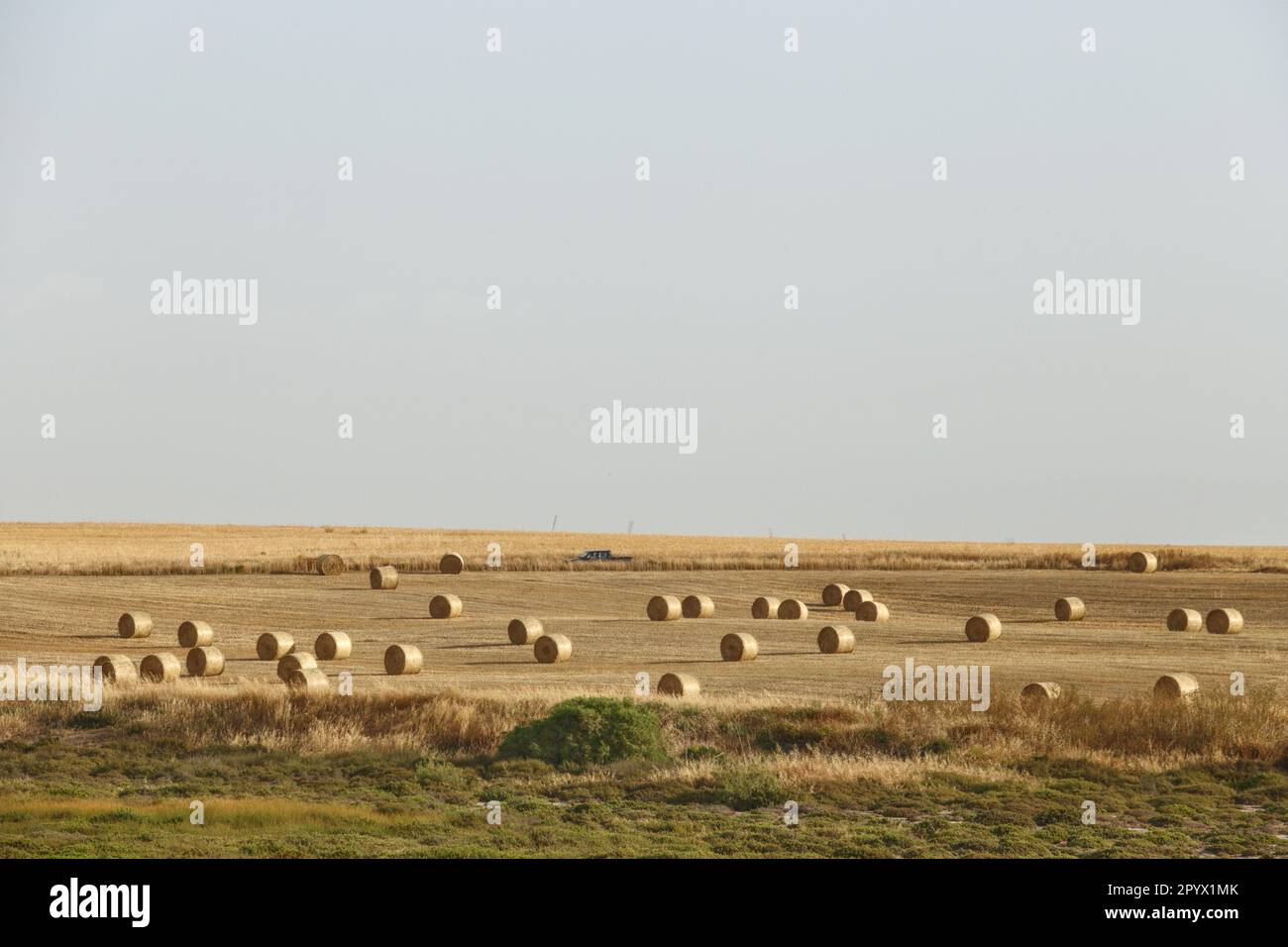 Larnaca, Larnaca, Zypern. 5. Mai 2023. Ein Feld mit verstreuten Heubällen ist in der Nähe des Larnaca International Airport zu sehen. (Kreditbild: © Kostas Pikoulas/ZUMA Press Wire) NUR REDAKTIONELLE VERWENDUNG! Nicht für den kommerziellen GEBRAUCH! Stockfoto