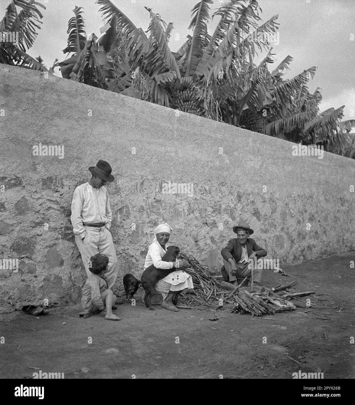 Drei ältere Menschen mit einem kleinen Kind und zwei Hunde am Straßenrand vor einer Mauer. Hinter der Mauer ist eine Bananenplantage. Unbezahlter Schuss, wahrscheinlich in Ponta Delgada auf der Insel Sao Miguel in den 1930er Jahren gemacht. Stockfoto