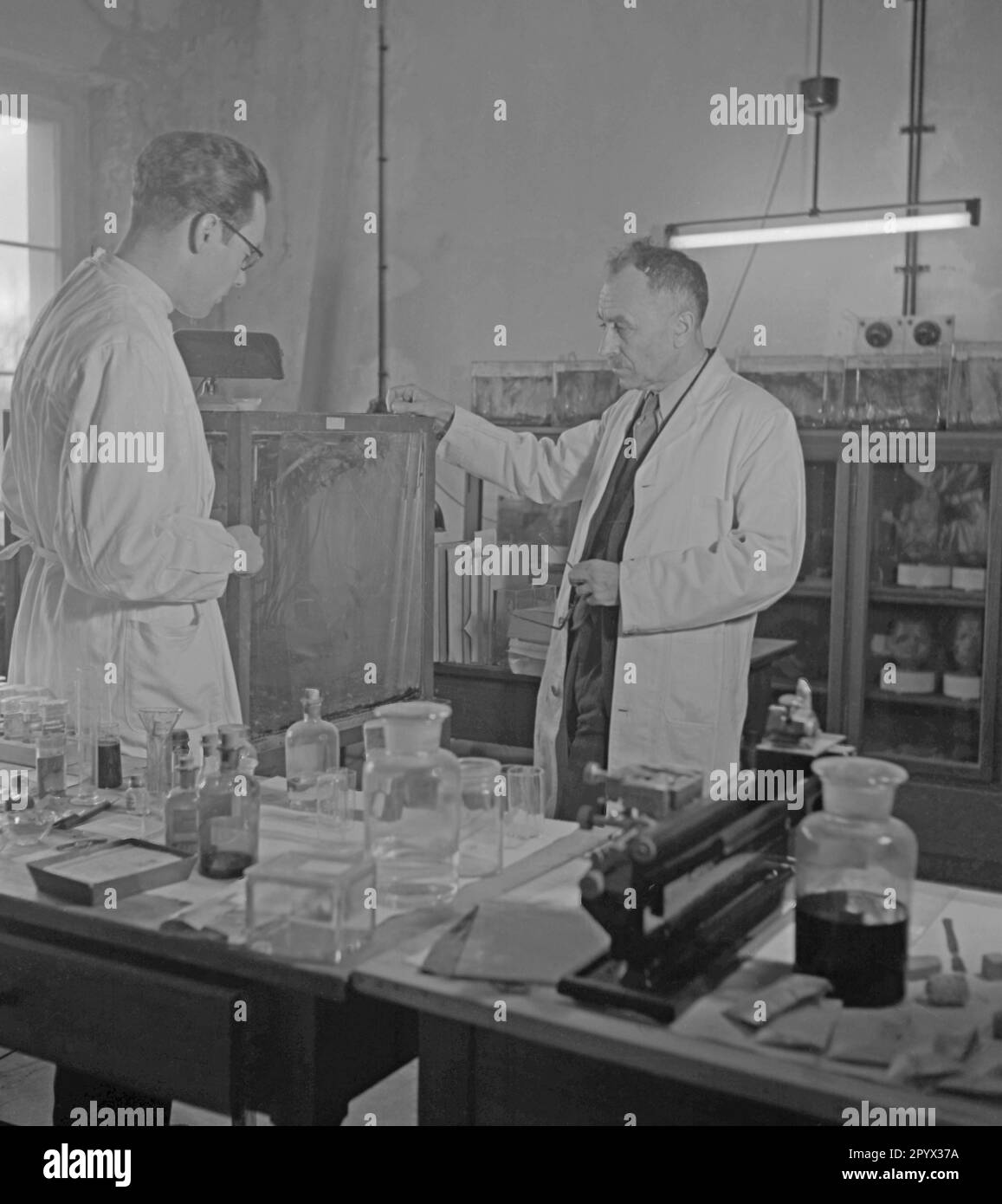 Zwei Chemiker in ihrem Labor in Berlin-Dahlem. Stockfoto