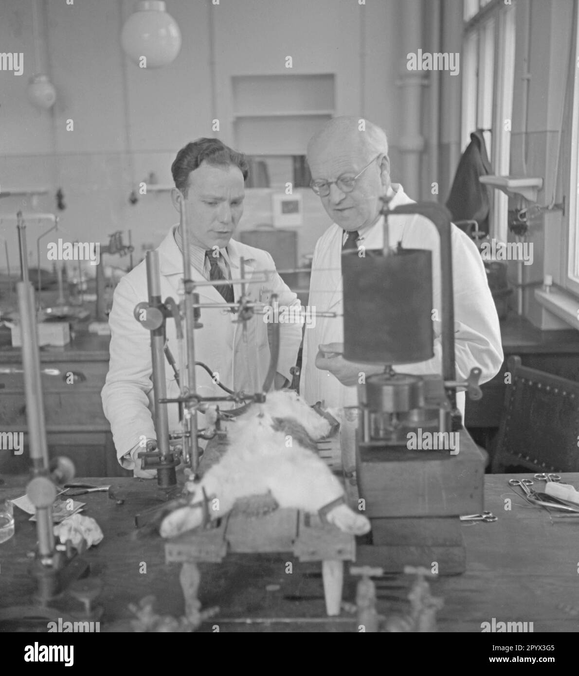 Zwei Biologen führen am Kaiser-Wilhelm-Institut für Biologie in Berlin-Dahlem ein Experiment an einer toten Katze mit einem Gerät durch. Stockfoto