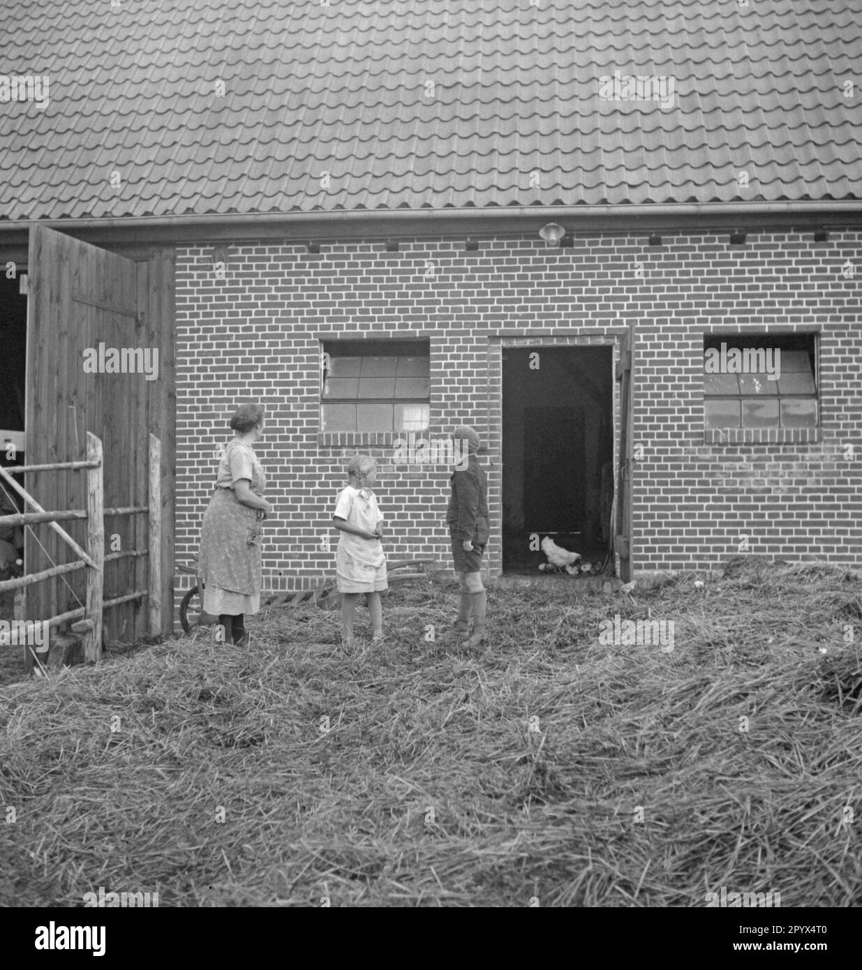 Farm in der Nähe von Neustrelitz (Koppelhof). Eine Bauernfrau und ihre beiden Kinder stehen auf einem Heuhaufen und beobachten eine Henne mit ihren Mädels. Unbefriedigendes Bild. Stockfoto