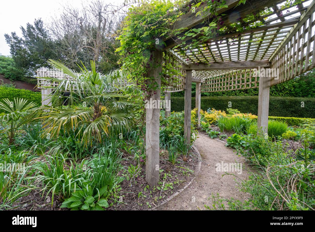 Allen House Grounds, Garden Gardens Park in Guildford Town, Surrey, England, Großbritannien, im Frühling Stockfoto