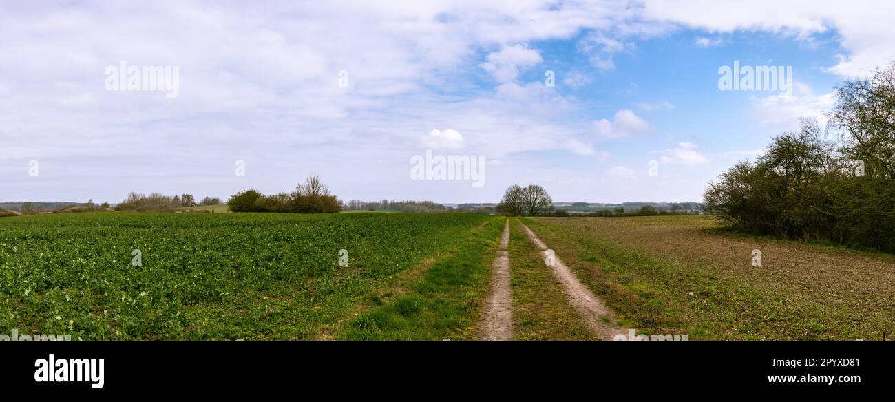 Wandern Über Das Farmland In Mecklenburg-Vorpommern In Der Nähe Von Teschow Stockfoto