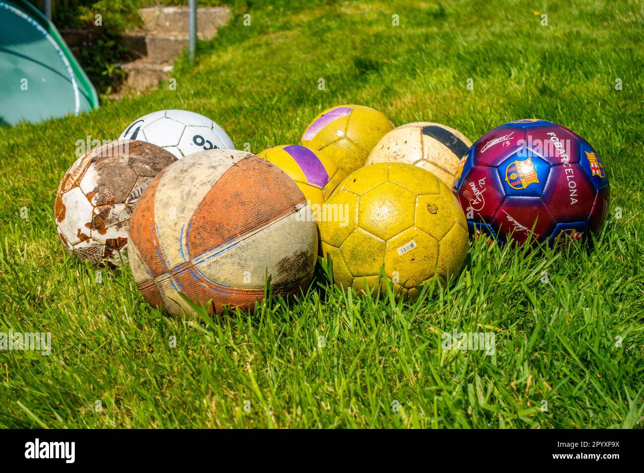 Eine Sammlung von Fußbällen und Basketbällen draußen in einem Garten auf einem Rasen Stockfoto