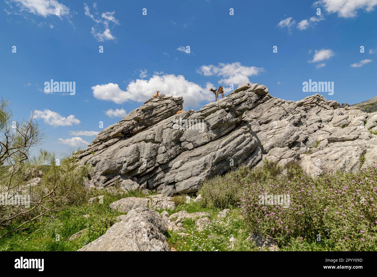 Los Riscos. Juzcar Stockfoto