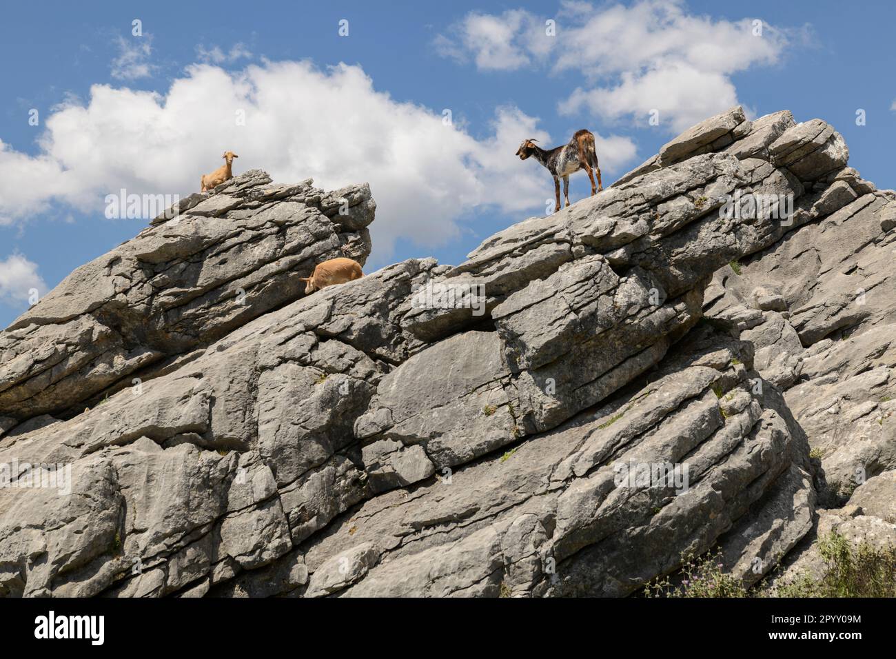 Los Riscos. Juzcar Stockfoto