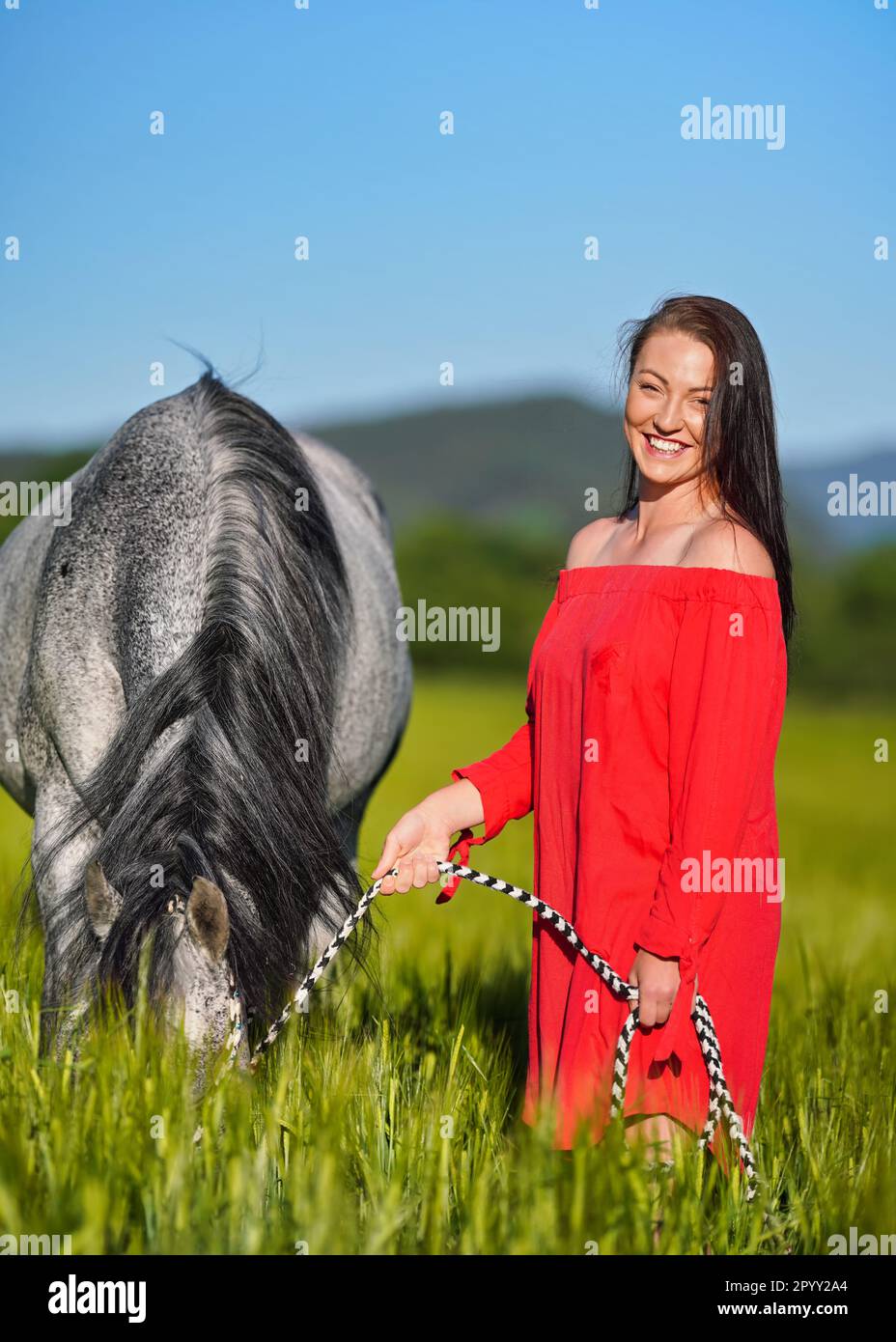 Eine junge Frau mit dunklen Haaren und leuchtend rotem Kleid, die ihr arabisches graues Pferd an sonnigen Tagen auf grünem Feld führt, lacht, während das Tier Gras isst, Schließfahndung Stockfoto