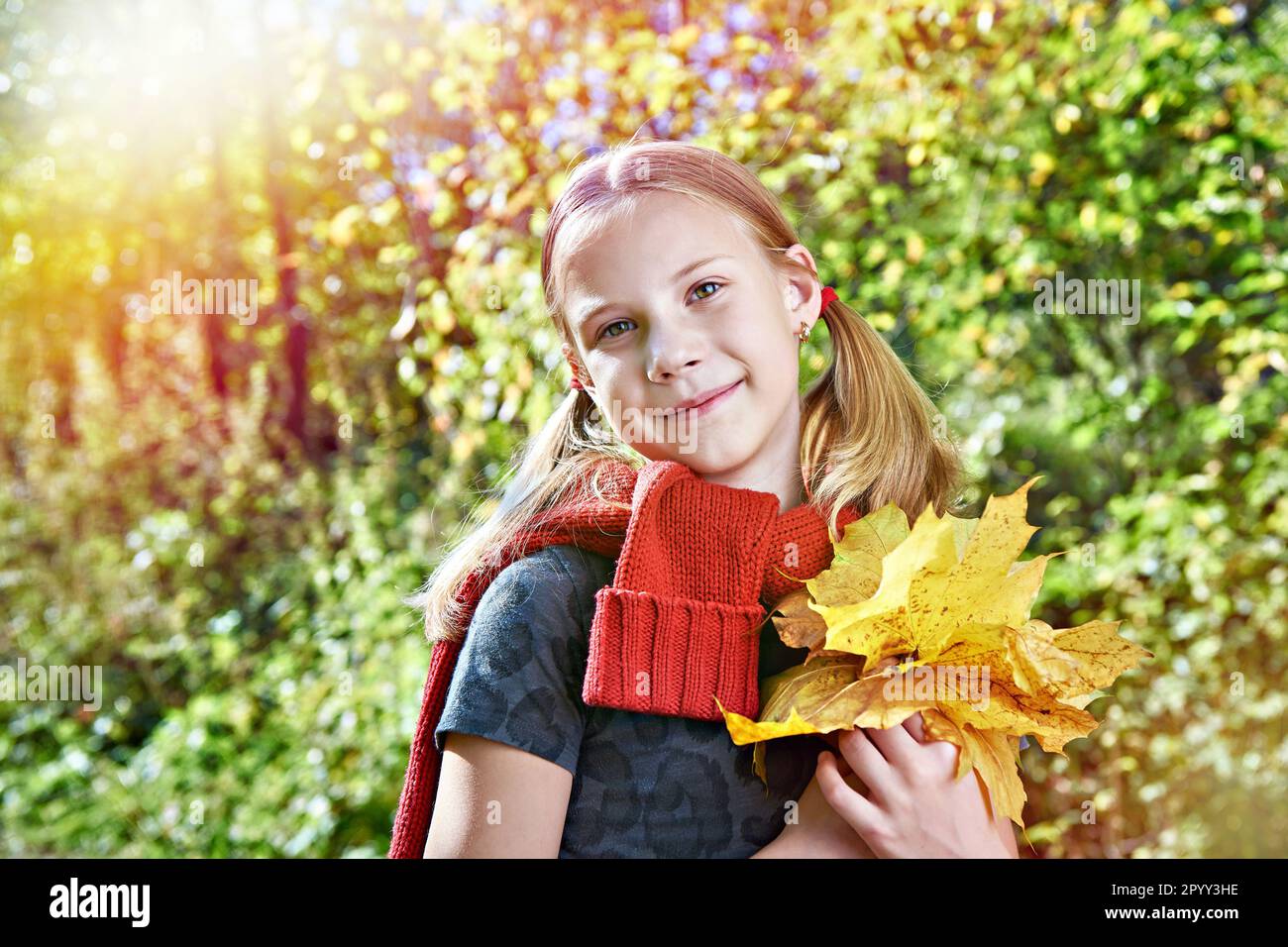 Fröhliches Mädchen mit gelben Blättern im Herbstpark an einem sonnigen Tag Stockfoto